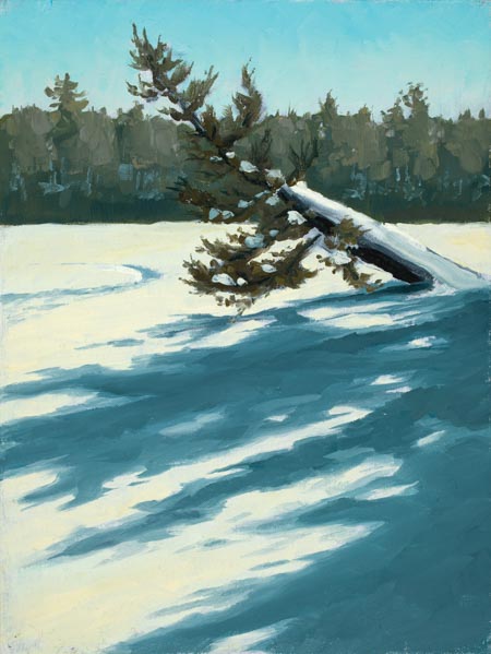 Bright And Cold At Bearskin Lake - 12x9