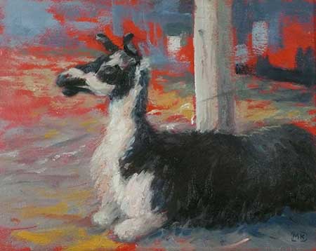 Leonora The Llama - 8x10