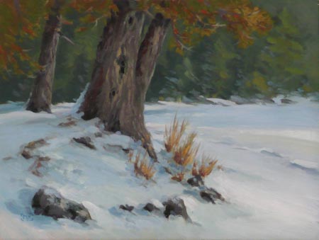 Menogyn Cedar - 9x12