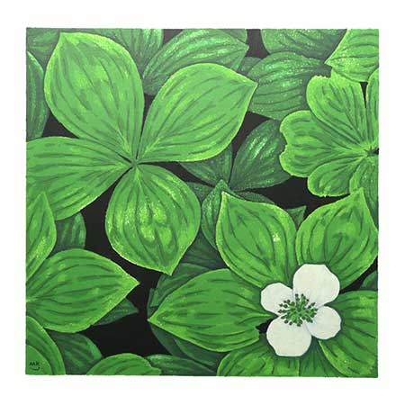 Bunchberry — lithograph, 7x7