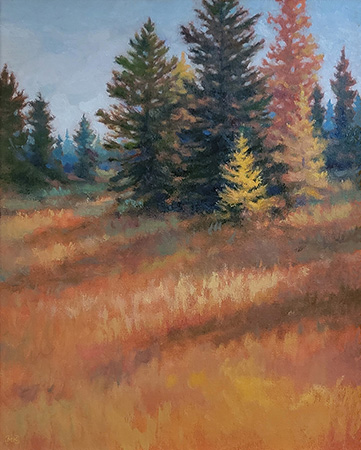 Tamarack – 20x16